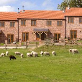 Фотографии базы отдыха 
            Red House Farm Cottages