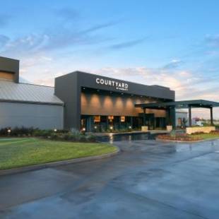 Фотографии гостиницы 
            Courtyard by Marriott Dallas DFW Airport North/Irving