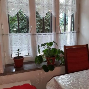 Фотография гостевого дома Elnor