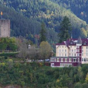 Фотографии гостиницы 
            Hotel Schloss Hornberg