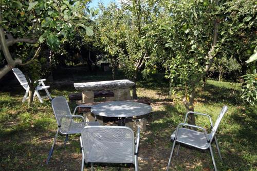 Фотография гостевого дома Apartments with WiFi Groznjan, Central Istria - Sredisnja Istra - 7038