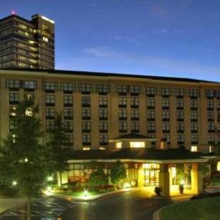 Фотографии гостиницы 
            Hilton Garden Inn Atlanta Perimeter Center