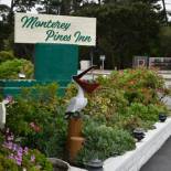 Фотография мотеля Monterey Pines Inn