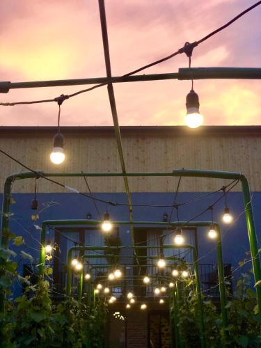 Фотография гостиницы Vineyard Winery