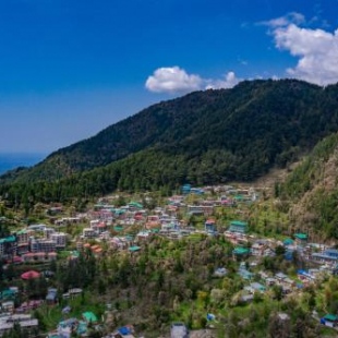 Фотография хостела Alt Life - Dharamkot (Mcleodganj)