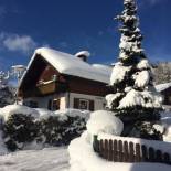 Фотография гостевого дома Ferienhaus Alpennest