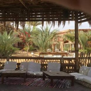 Фотография мини отеля Nakhil Inn Nuweiba