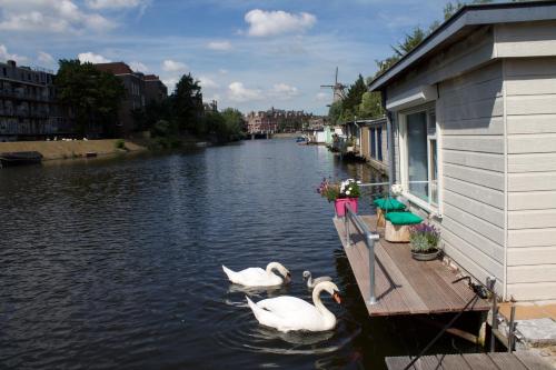 Фотография мини отеля Robs Houseboat NonSmoking