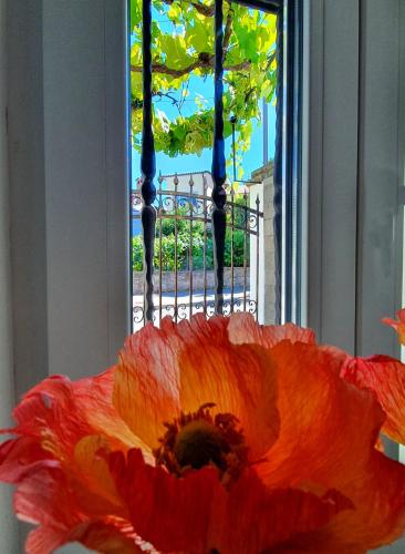 Фотография мини отеля Casa Isabella B&B