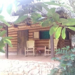 Фотография гостевого дома Room in Lodge - Sierraverde Huasteca Potosina Cabins Palo De Rosa