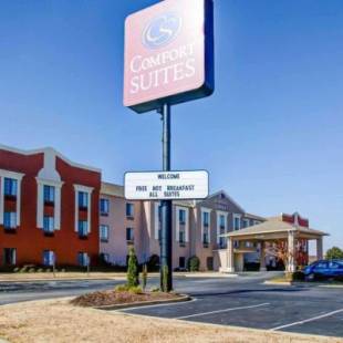 Фотографии гостиницы 
            Comfort Suites Gadsden Attalla