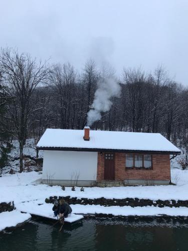 Фотография гостевого дома Усадьба Новоселица