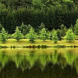 Фотография гостевого дома Tavi Vendégház