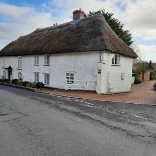 Фотография мини отеля The White Cottage