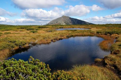 Фотография апарт отеля Apartmany Firn