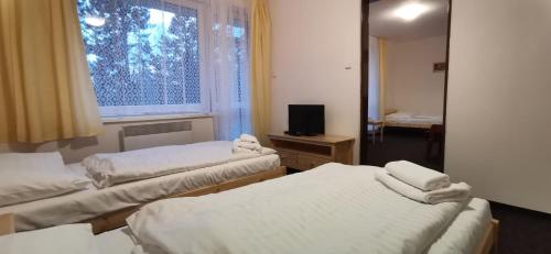 Фотография гостиницы HOTEL SVRATKA