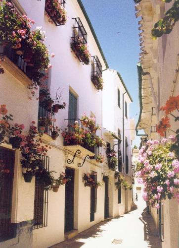 Фотографии апарт отеля 
            La Posada Real