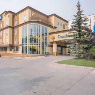 Фотографии гостиницы 
            Comfort Inn and Suites University