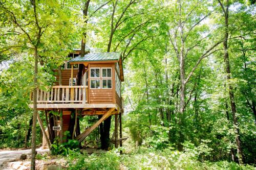 Фотография мини отеля The Cottage Treehouses