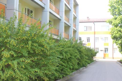 Фотография санатория АО Боровичский комбинат огнеупоров