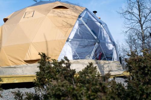 Фотографии базы отдыха 
            Aurora Dome