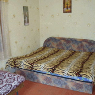 Фотография мини отеля У дяди Васи домик в Соколином