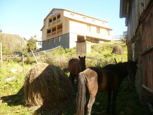 Фотография гостевого дома Javakhe