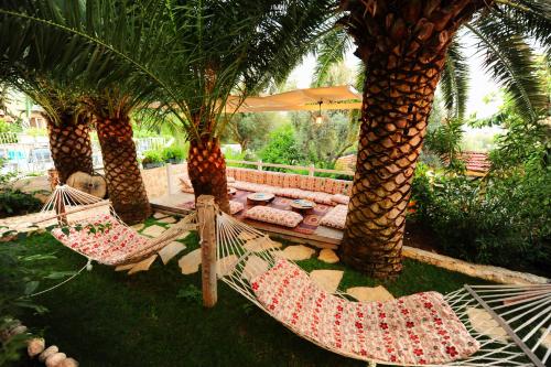 Фотография гостиницы Golden Lighthouse Hotel