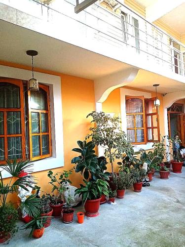 Фотографии гостевого дома
Кенгуру