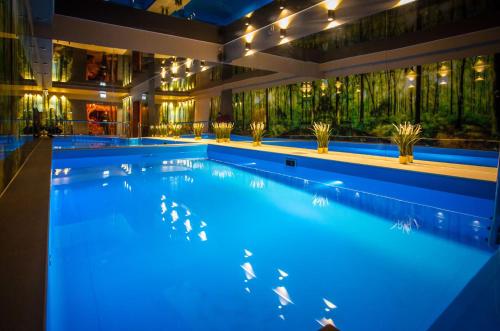 Фотография гостиницы Srebrny Bucznik Wellness & Restauracja