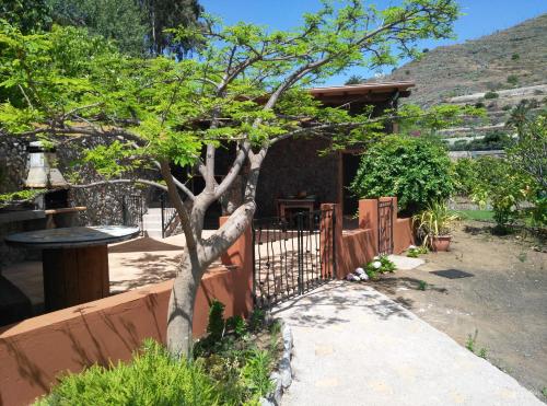 Фотография гостевого дома Peaceful house, set on a vineyard & beautiful views