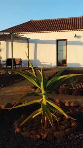 Фотография гостевого дома Casa Los Almendros Jacuzzi Garden