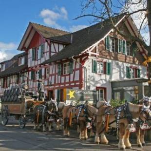 Фотографии гостиницы 
            Gasthaus Sternen