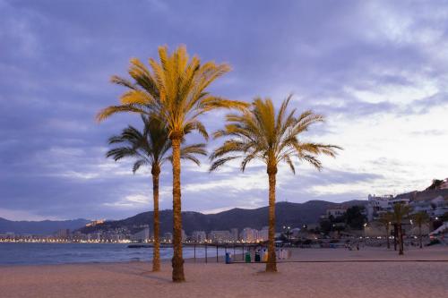 Фотография гостиницы Hotel L'Escala