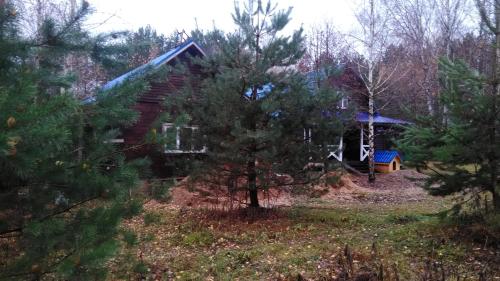 Фотография гостевого дома Дом в Калинках