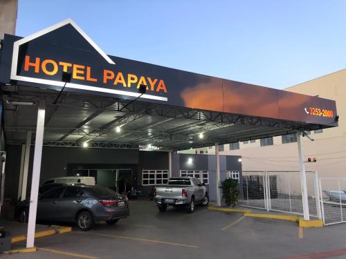 Фотографии гостиницы 
            Hotel Papaya