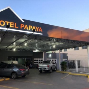 Фотография гостиницы Hotel Papaya