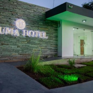 Фотография гостиницы Bluma Hotel