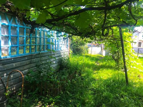 Фотография гостевого дома Агроусадьба