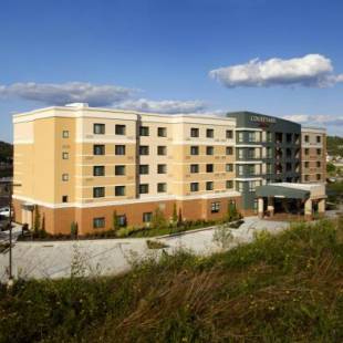 Фотографии гостиницы 
            Courtyard by Marriott Pittsburgh Washington Meadow Lands