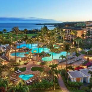 Фотографии гостиницы 
            The Ritz-Carlton Maui, Kapalua