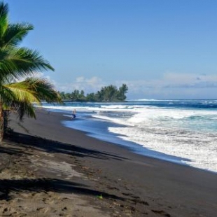 Фотография гостевого дома TAHITI - Fare Teava Beach