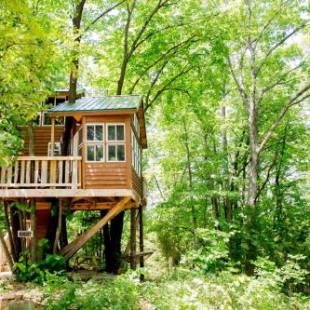 Фотографии мини отеля 
            The Cottage Treehouses