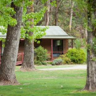 Фотографии базы отдыха 
            Beechworth Holiday Park