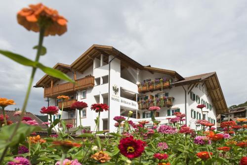 Фотография гостиницы Schwarzer Adler