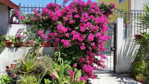 Фотография мини отеля B&B Mitzixeddas