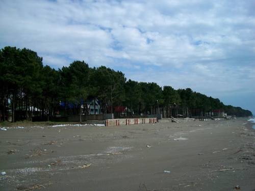 Фотография гостевого дома Guest House Grigoletinskaya