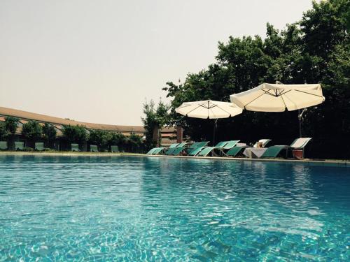 Фотография гостиницы Business Hotel