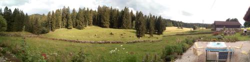 Фотографии гостевого дома 
            La Dernier (La cote-aux-fées) Suisse