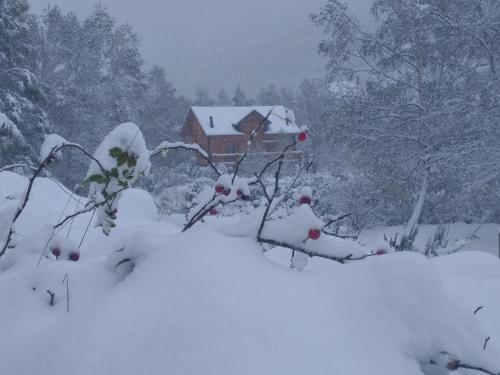 Фотографии гостевого дома 
            Chalet bois au milieu des Pyrénées